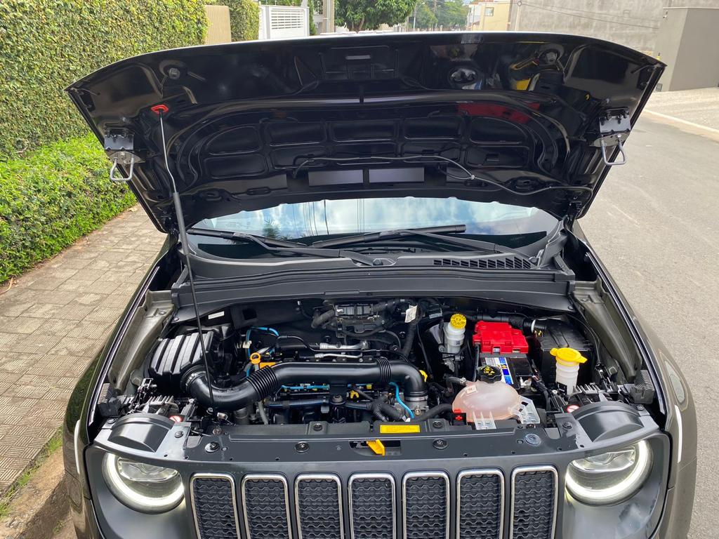 RENEGADE LONGITUDE 2021